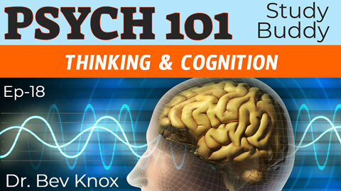 Thinking & Cognition - Psych 101 “Study Buddy” Series