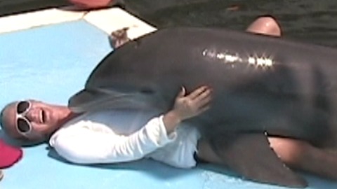 Dolphin Gets A Little TOO Friendly with Woman