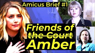 THIS BRIEF IS TRASH!! Amici Curiae embarrass themselves supporting Amber Heard - Attorney analysis