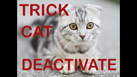 Trick to Deactivate a Cat