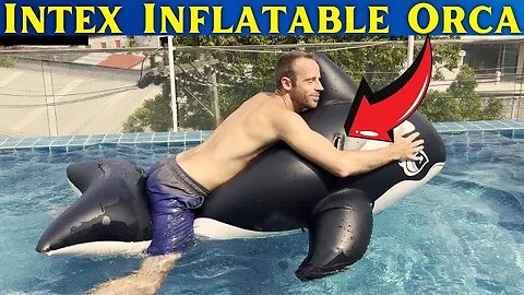 Intex Whale Inflatable Pool Ride-On Orca REVIEW