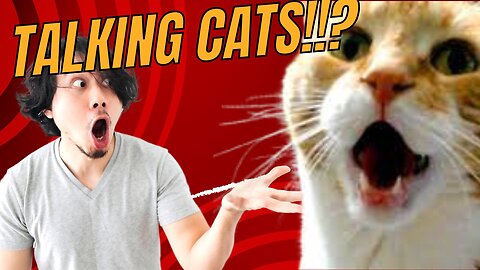 TALKING CATS!!?? HILARIOUS!