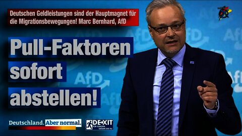 Deutschen Geldleistungen sind der Hauptmagnet für die Migrationsbewegungen! Marc Bernhard, AfD