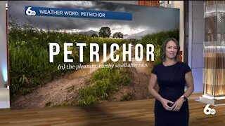 Rachel Garceau's Weather Word: PETRICHOR