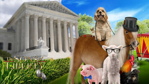 The Supreme Court's Dog & Pony Show