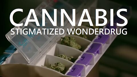 Cannabis: Stigmatized Wonderdrug (Nederlandse ondertiteling)