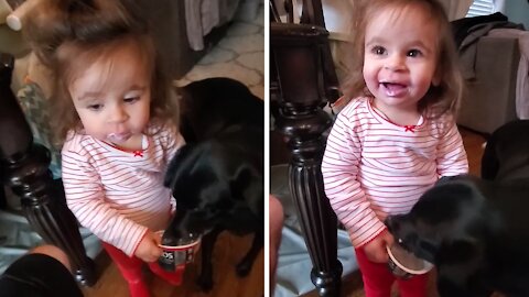 Selfish Dog Straight up Steals Yogurt From Little Girl