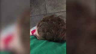 Young Boy Excited To Have A Baby Brother