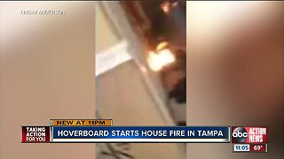 Tampa residents, pet sugar glider OK after house fire caused by hoverboard
