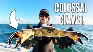 My Best Stone Crab Pull this SEASON - Extra Large Claws! Florida Crabbing