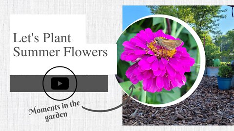Let's Plant Summer Flowers | moments in the garden