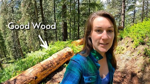 Saving Money By Using Fallen Trees On Our Property To Build Our Off Grid House