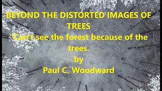 Beyond the distortion of trees - "We can't see the trees because of the forest of opinions today"