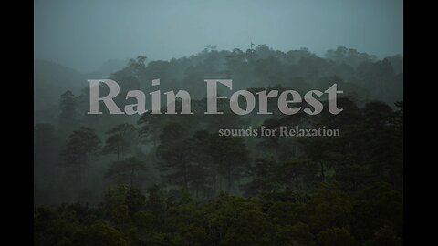Rainforest camping night in light rain | Relax | sounds for sleep