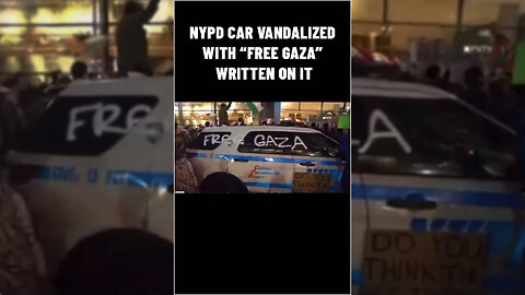 NYPD Car Vandalized With 'Free Gaza' Sprayed On It