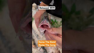 Can you Name this SONG and Band in Less than 9 Seconds? From AUSTRALIA