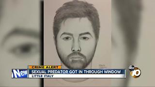 Sexual predator gets in through window