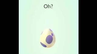 Pokemon Go 10K Egg Hatch 12-10_2*SPECIAL*