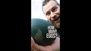 How many Emu Eggs are there?