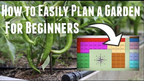 How To Plan A Vegetable Garden - Layout, Schedule & Calendar - Ultimate Guide When to Start Seeds