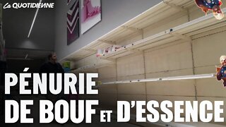 PENURIE ALIMENTAIRE ET D'ESSENCE DIEUDONNE EN PARLE #tpmp #humour #bigard #crise #poutine