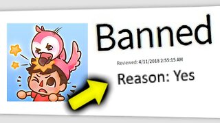 Dumbest Roblox Bans Ever (Flamingo)