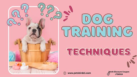 Modern dog training methods | Training methods #pets_birds