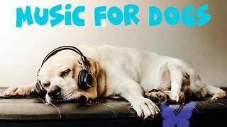 12 HOURS of Deep Sleep Dog Anti Separation Anxiety Music🐶 Calming Dog Music 🎵