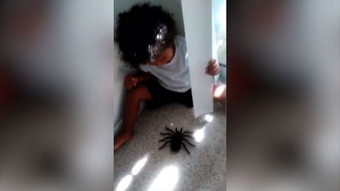 Toddler Boy Scared of Fake Spider!