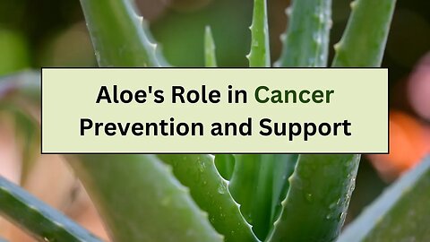 Does Aloe Gel Has Potential Benefits For Cancer Prevention?