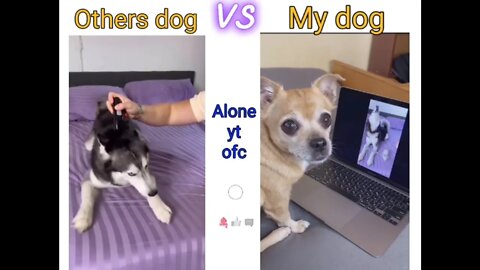 Others dog vs My dog. #dog #funny dog #trending #viral #funnydogs #dog meme