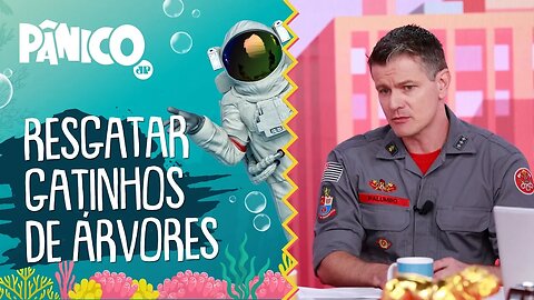 Bombeiro resgata GATINHOS de árvores? Capitão Palumbo explica