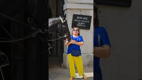 🐎 Horse nudges tourist #horseguardsparade