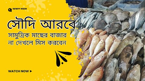 সৌদি আরবের সামুদ্রিক মাছের বাজার জেদ্দা আরব সাগর ও লোহিত সাগর