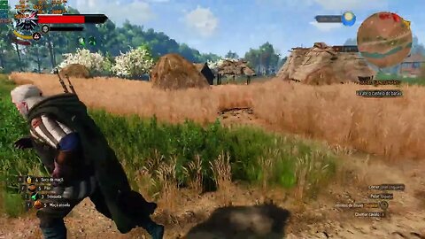 The Witcher 3 test