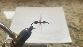 Fly Tying Class Lesson #12 Cinnamon Ant