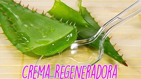 Crema Regeneradora