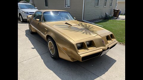 A LITTLE CRUISE IN THE ‘79 TRANS-AM