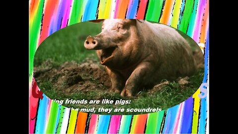 Disgusting friends are like pigs: Live in the mud, are scoundrels! [Quotes and Poems]