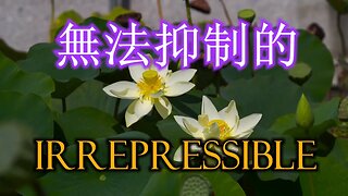 Irrepressible (無法抑制的)