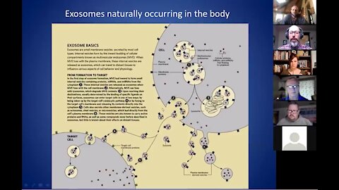 DR. ANDREW KAUFMAN SHOWS EVIDENCE AND EXPLAINS HOW “SARS-COV-2” IS ACTUALLY AN EXOSOME, NOT A VIRUS