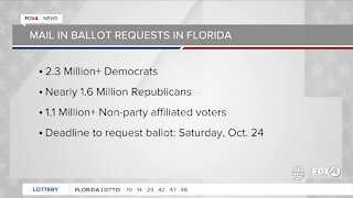 Florida voters case ballots