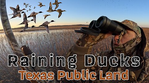 EPIC Solo Duck Hunt On Public Land (Texas)