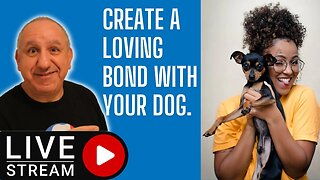 How to create a loving, healthy bond with your family dog.