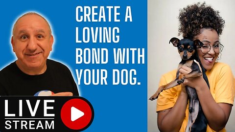 How to create a loving, healthy bond with your family dog.