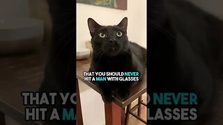 😬🤷 #cat #blackcat #leonthecatdad #darkhumour #darkhumor #sarcasm #relatable #relationship #glasses