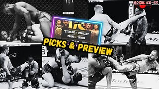 UFC 292 PICKS & PREVIEW