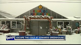 Escape the cold at Edwards Greenhouse