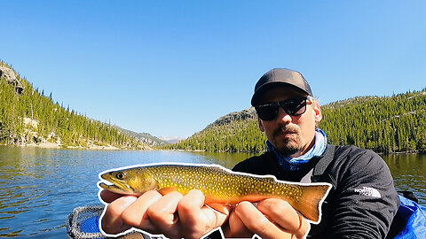 Brook Trout Beat Down in Rocky Mountain National Park! Catching a Fish on Almost Every Cast!
