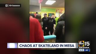Fight breaks out at Skateland Mesa